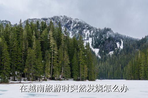 在越南旅游时突然发烧怎么办