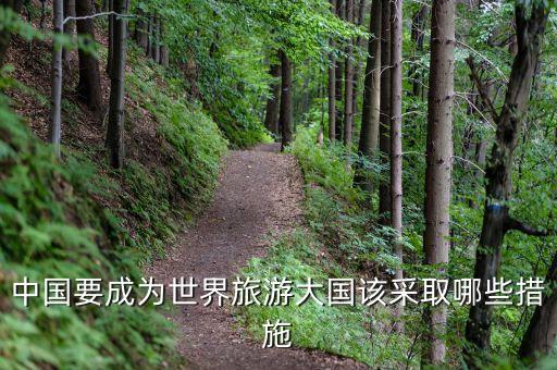 中国要成为世界旅游大国该采取哪些措施