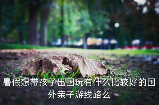 暑假国外亲子旅游去哪里好，暑假想带孩子出国玩有什么比较好的国外亲子游线路么