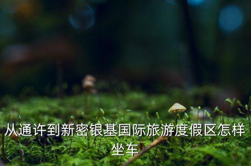从通许到新密银基国际旅游度假区怎样坐车
