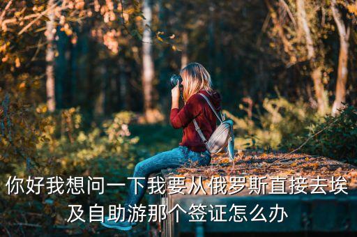 你好我想问一下我要从俄罗斯直接去埃及自助游那个签证怎么办