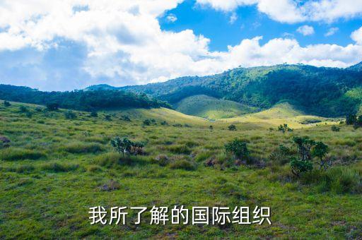 我所了解的国际组织