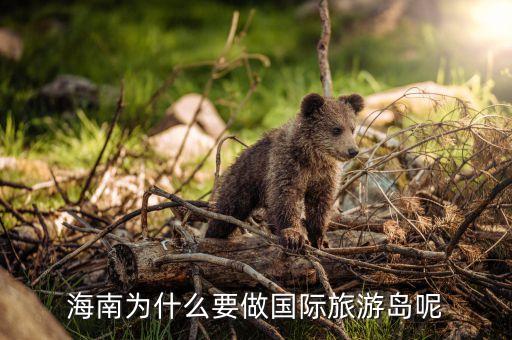 为什么要建设国际旅游岛，海南为什么要做国际旅游岛呢