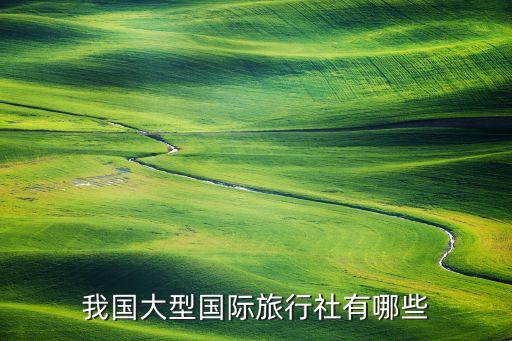 国际上旅游公司有哪些公司，国外比较大型的旅行社有哪些