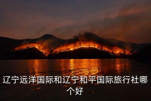远洋国际旅游社怎么样，辽宁远洋国际和辽宁和平国际旅行社哪个好