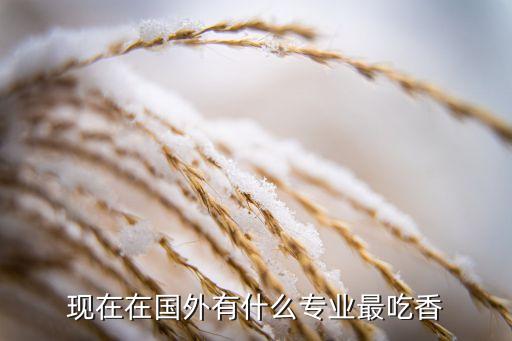 想在国外旅游什么行业好，什么样的工作是适合大学毕业而又想到国外旅游的人