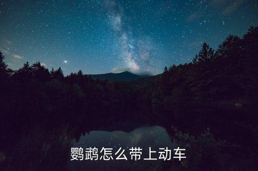 鹦鹉怎么带出国外旅游，鹦鹉怎么带上动车