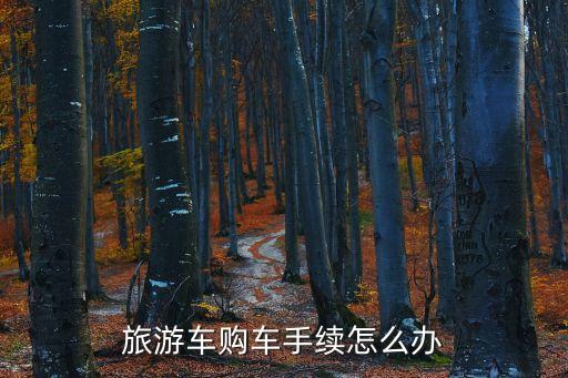 国际经贸旅游车怎么买的，旅游车购车手续怎么办