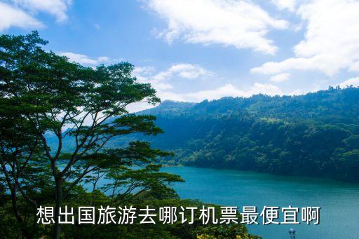 想出国旅游去哪订机票最便宜啊