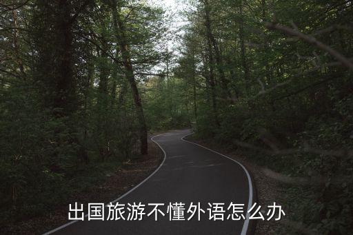 出国旅游不懂外语怎么办