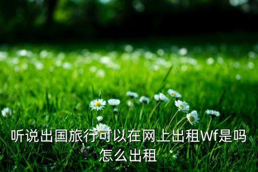 听说出国旅行可以在网上出租Wf是吗怎么出租