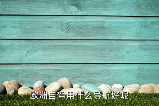 欧洲自驾用什么导航好呢