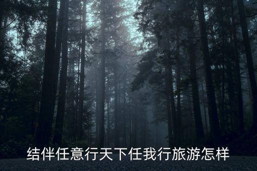 结伴任意行天下任我行旅游怎样