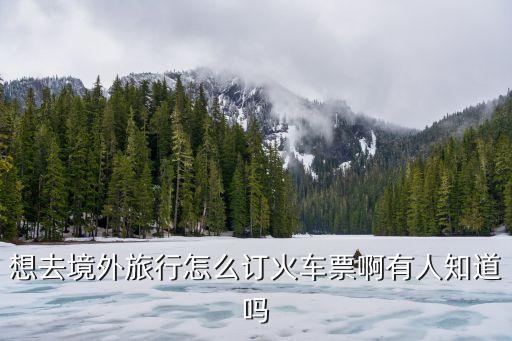 想去境外旅行怎么订火车票啊有人知道吗