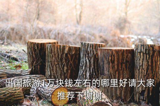 出国旅游1万块钱左右的哪里好请大家推荐下谢谢