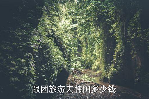 去国外的旅游团大概要多少，跟团旅游去韩国多少钱