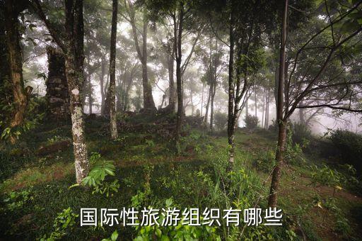国际性旅游组织有哪些