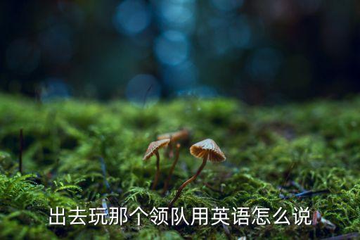 出去玩那个领队用英语怎么说
