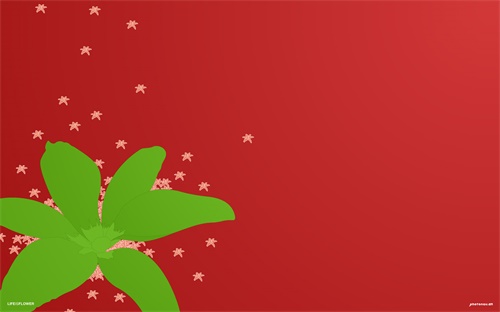 菲律宾有名的国际学校,适合在国际学校留学的同学有五个